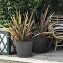 DEROMA Vaso Origin Anthracite 24cm image 3