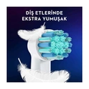 Oral-B EB 10 2 Frozen 2 Stück (en) Blau, Rosa Haarbürste - Bürstenkopf (blau, rosa) image 3