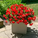 Yuejia Lot de 6 bouquets de fleurs artificielles en soie camélia rouge - 38 cm image 3