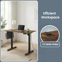 Ochama x SONGMICS Height Adjustable Desk, Electric Standing Desk, 120 x 60 cm, 4 Memory Heights, for Home Office, Rustic Brown image 5
