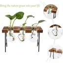 Senhoglb air plant holder, New Year Sale , Top gift picks image 4