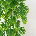 Yuejia 4Pcs 30in/76cmArtificial ake Vines Monstera for Decoration, Artificial Plants Ivy with Leaves Outdoor Indoor Decor Plastic Greenery Green Plant Faux Stems Home Garden Party Wedding Bedroom Room Office image 7