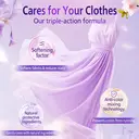 Liby Fragrance Legend Laundry Detergent Pods - Florentine Iris Fragrance, 42 Pods, 6-in-1, Efficient, Gentle Cleaning, Powerful Bacteria Removal image 7