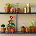 LEGO Botanicals 10329 Les plantes miniatures image 2