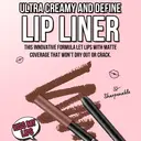 MISSLYN Crayon à lèvres Made to Stay 802 - Cadeau pour la Fête des Femmes image 2