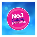 Cushelle Original Toilet Tissue, 2-Ply, 24 Rolls image 2