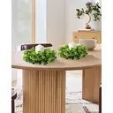 11 Inch Artificial Boxwood Small Wreath -2pcs image 4