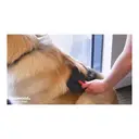 Rosewood Soft Protection Grooming Slicker Brush for Dogs Medium image 3