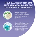 Purina ONE Bifensis Senior 11+ 750g image 4