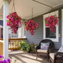 Yuejia 2Pcs 23.6in/60cmArtificial Fake Hanging Plants Flowers for Spring Decoration Outdoor Wedding Vine Plant Hibiscus Flowers Long Trailing Vines Realistic Plants for Front Door Porch image 7