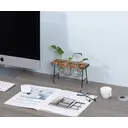 Senhoglb air plant holder, New Year Sale , Top gift picks image 1