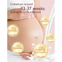 Momcozy Reusable Colostrum Collector Set, BPA-Free 5ml Collectors (6 Pack), with Storage Case & Cotton Wipes image 5