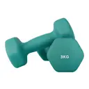 SONGMICSHOME  Ensemble de 2 haltères hexagonaux en néoprène, 2 x 3 kg, avec barres d'haltères, Entraînement à domicile, Turquoise image 1