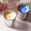 Zooly Colorful Series Scented Candle - Enchanted Wood Phantom, 150G, 1PC image 0