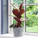 Terni Planter Denim 14Cm H26Cm image 3