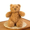 Peluche ours brun - 23 cm image 0
