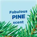 Duck Professional Deep Action Toilet Cleaner Gel, Pine, 750ml image 3