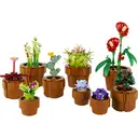 LEGO Botanicals 10329 Les plantes miniatures image 6