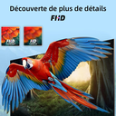 Hikers TV intelligente 43 pouces FHD WiFi VIDAA sans bordure avec triple tuner DVBT/T2/S/S2/C, 3 × HDMI, 2 × USB, CI+, commande vocale et applications de streaming image 2