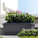 DEROMA Plateau Day R Anthracite 50cm image 2