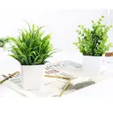 3Pcs 6.69in/17cm
Artificial Plant Flowerpot Artificial Plastic Eucalyptus Plant Wheat Grass Shrub Plant Indoor Desk Coffee Table Bathroom Bedroom Home Decoration image 1