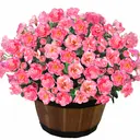 Yuejia Lot de 6 bouquets de fleurs artificielles en soie camélia rose - 38 cm image 0