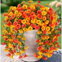 Yuejia Lot de 4 bouquets suspendus de fleurs artificielles en soie pétunia orange et jaune - 76 cm image 7