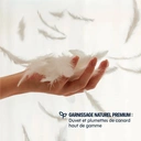 MORPHEA Couette chaude en plumes et duvet de canard - 240 x 260 cm image 4