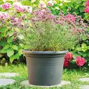 DEROMA Cilindro Day R Anthracite 40cm image 2