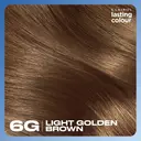 Clairol Lasting Permanent Colour Hair Dye 6G Light Golden Brown 1 Pack image 5
