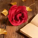 Wei’s Moment 20Pcs Artificial Flowers Roses, Real Touch
 Foam Roses, Fake Flowers Rose for DIY Wedding Bridal Bouquets Baby Shower Table Centerpieces Home Decorations, Cream Red image 0