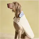 Rosewood x Joules Sandshell Raincoat for Large Dogs image 1