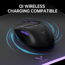 RAPOO VT9Pro 4K Souris gaming sans fil - Noir image 5