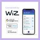 Philips Smart Light Bulb LED Globe Filament Screw E27 Full Colour & Warm/Cool Spectrum 40W image 3