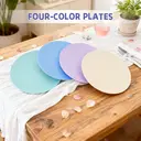 Home Use Compact & Portable 10-Inch Flat Dinner Plates, Set of 4, Plastic Material image 1