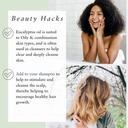 Absolute Aromas Eucalyptus Globulus 10ml image 5