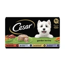 Cesar Garden Terrine Dog Food Tray Mixed in Loaf 8x150g image 2