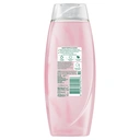 Radox Mineral Therapy Shower Cream Feel Indulged 450ml image 1