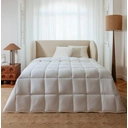 MORPHEA Couette chaude en plumes et duvet de canard - 240 x 260 cm image 0