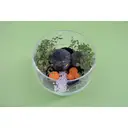 Clementoni Harry Potter Hagrid's Hut Terrarium image 7