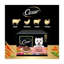 Cesar Deliciously Fresh Dog Food Pouches Mixed Selection in Sauce 12x100g image 9