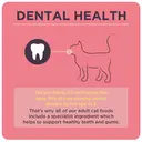 Burgess Adult Cat Chicken and Duck 1.5kg image 4