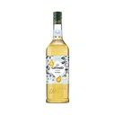 GIFFARD Sirop pur sucre saveur Pina Colada - 1 L image 0