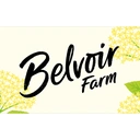 Belvoir - Non Alcoholic Lime & Yuzo Mojito Can - 250ml image 2