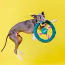 ZEZE Steering Wheel Rope Pet Toy, Interactive Chew Toy for Cats & Dogs (Dark Green) 23 x 23 x 3.5 cm, Built-In Sound Effects image 0