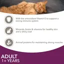 Iams Delights Land & Sea Collection in Jelly Adult 1+ Years 8 x 85g (680g) image 2