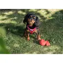 Ancol Viva Collar Red 28-36cm Size 3 image 2