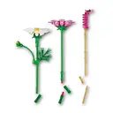 LEGO Botanicals 11514 Les cosmos image 4