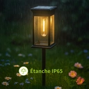 VIVREAL Lot de 4 lampes solaires carrées transparentes à filament de tungstène image 5