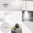 Crown Matt Emulsion Spotlight 40ml image 6
